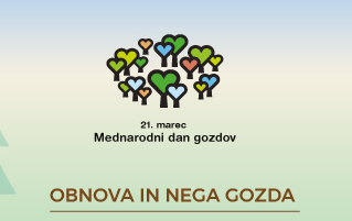 Mednarodni dan gozdov