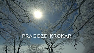 Pragozd krokar - naslovnica filma