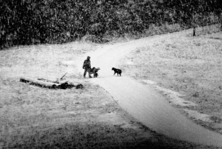 Fotografski natečaj "Gozd in človek"