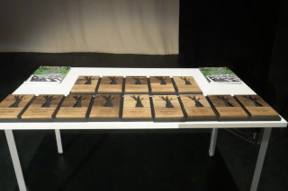 Priznanja najbolj skrben lastnik gozda 2025