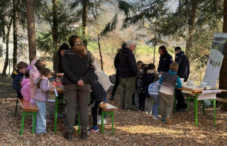Otroci v gozdni učilnici