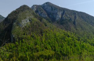 Pogled na gozd