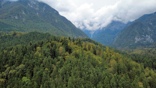 Pogled na dolino Kamniške Bistrice