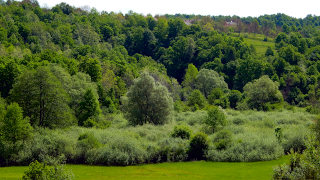 Krajinski park Lahinja