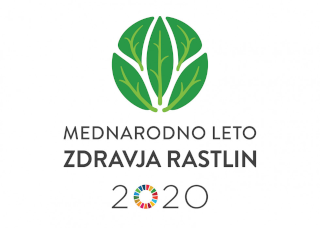 Mednarodno leto rastlin