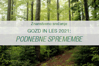 Posvet gozd in les