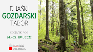 Dijaški gozdni tabor 2022