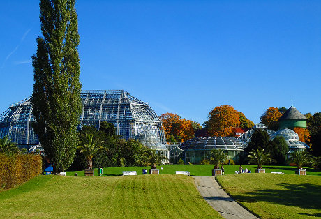 Botanični vrt Berlin