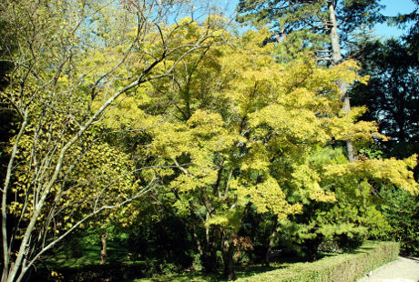 Botanični park Sežana