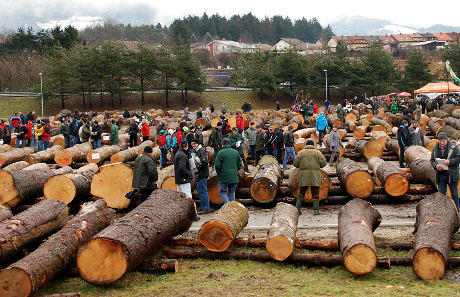 Obiskovalci licitacije lesa 2014