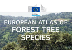 European atlas of forest tree species