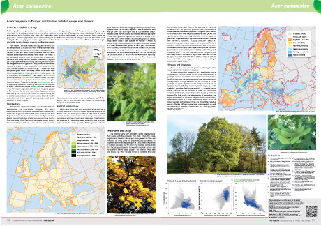 Stran iz European atlas of forest tree species