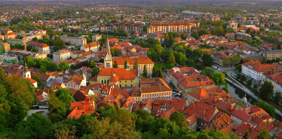 Drevesa v Ljubljani