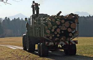 Traktor s prikolico za prevoz lesa naloženo z lesom