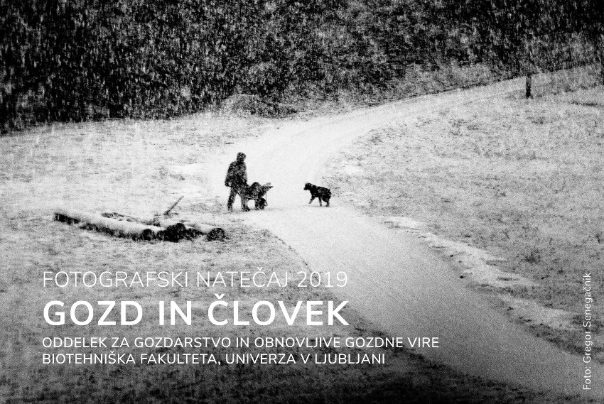 Fotografski natečaj Gozd in človek