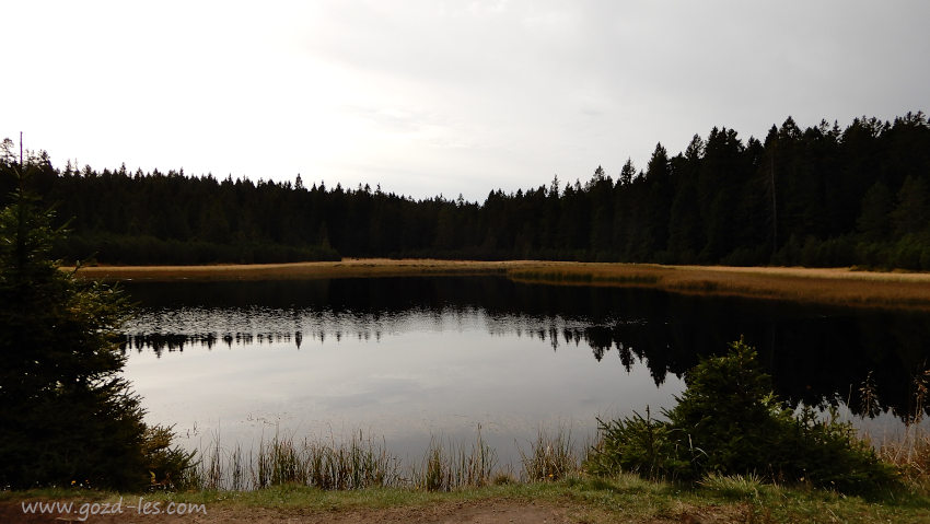 Črno jezero na Pohorju