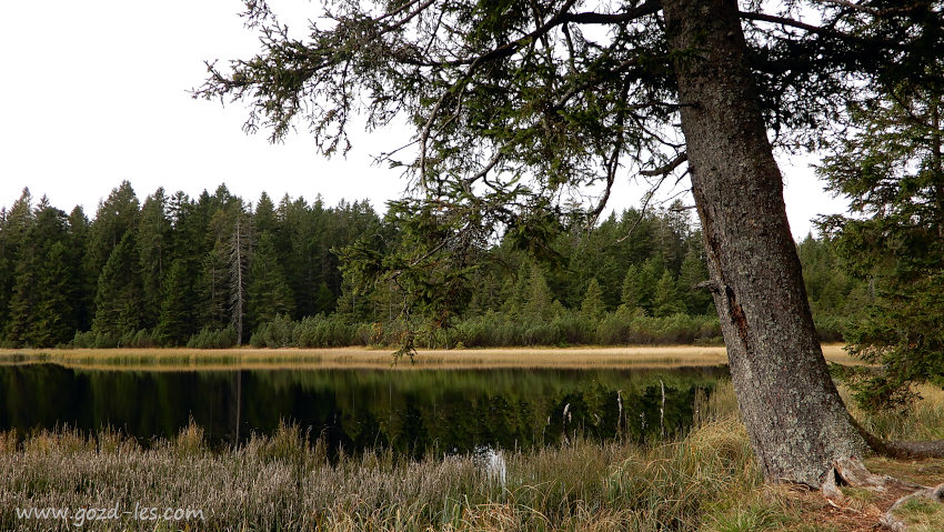 Črno jezero na Pohorju