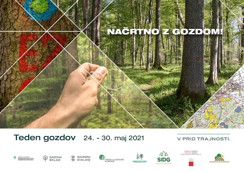 Načrtno z gozdom - teden gozdov 2021 - grafika