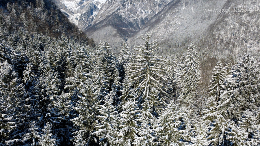Dolina Kamniške Bistrice