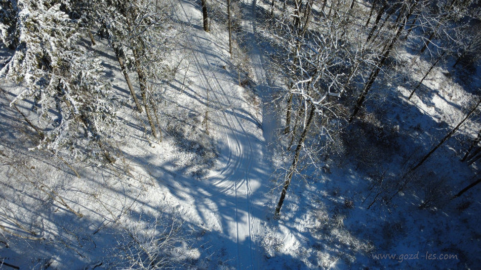 Gozdna cesta v snegu