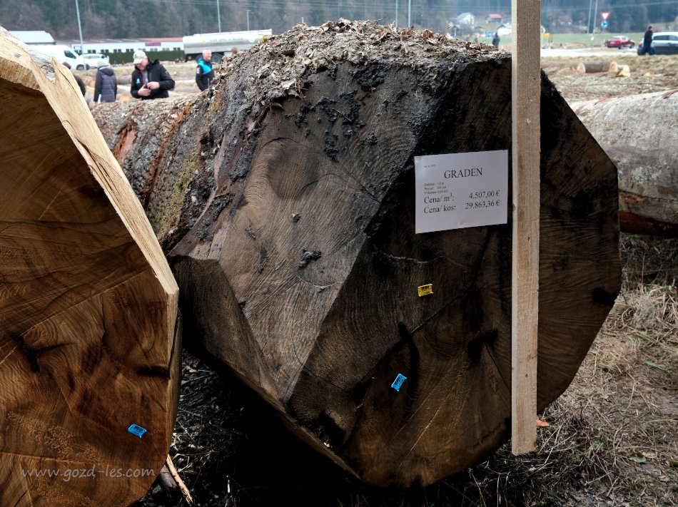 Hlod gradna na dražbi 2026, ki je dosegel najvišjo ceno