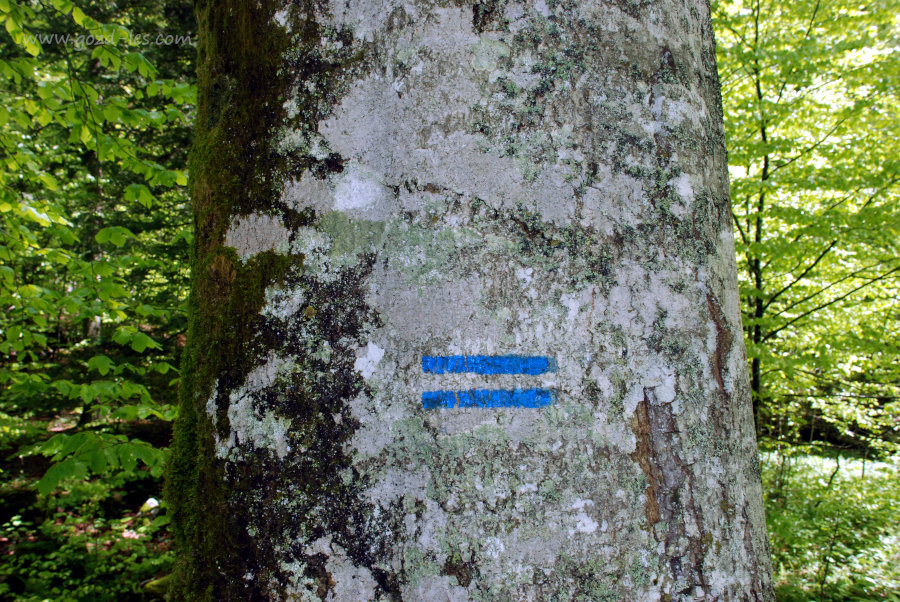 Oznaka za gozdni rezervat