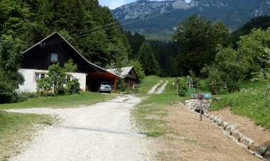 Solčavska tisa - dostop