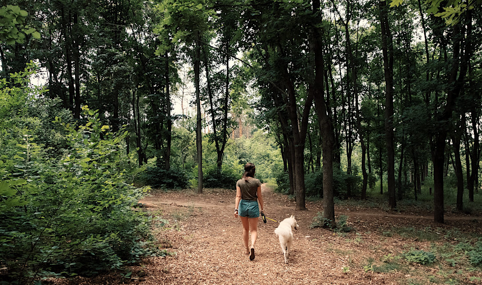 Sprehajalka s psom v gozdu